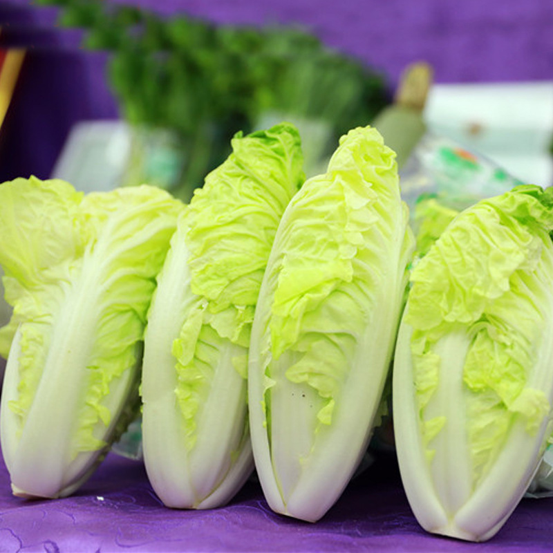 宝宝菜种子快菜娃娃菜早熟甜嫩耐热春季银丝王四季结球小白菜种籽