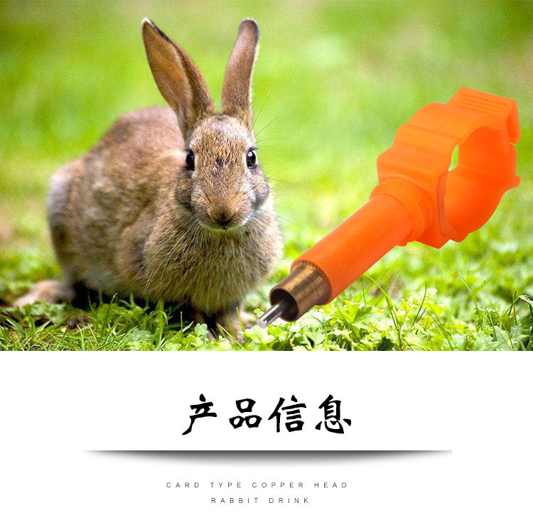 兔用自动饮水器 兔笼用兔子饮水器 兔饮水嘴 獭兔肉兔子喝水器