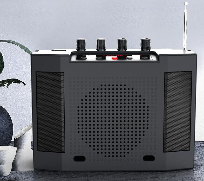 圣韵v309蓝牙二胡神器2.4g无线扩音器乐器专用演出立体声便携式