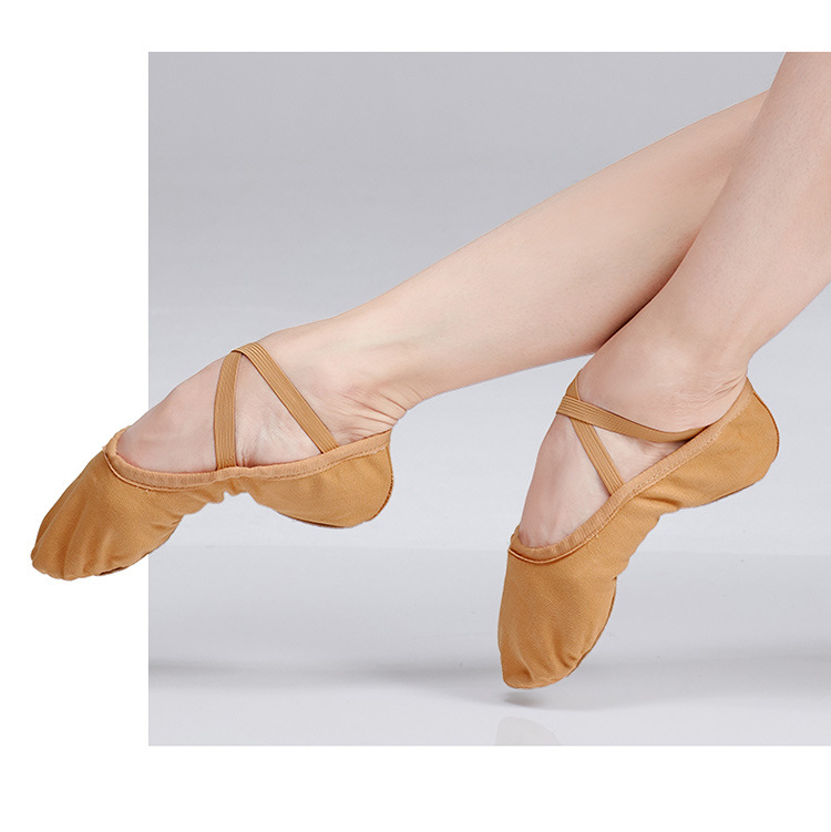 舞蹈鞋女男成人软底练功鞋形体驼色跳舞古典舞免系带芭蕾舞猫爪鞋