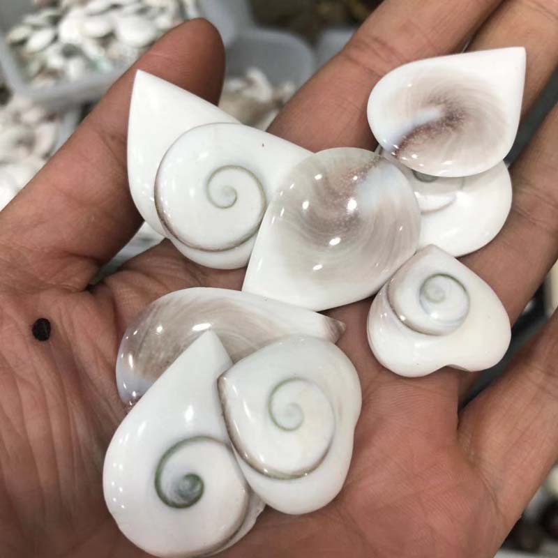 5cm【材质】:贝壳【品名】:太阳贝吊坠商品描述材质种类宝石形状柱体