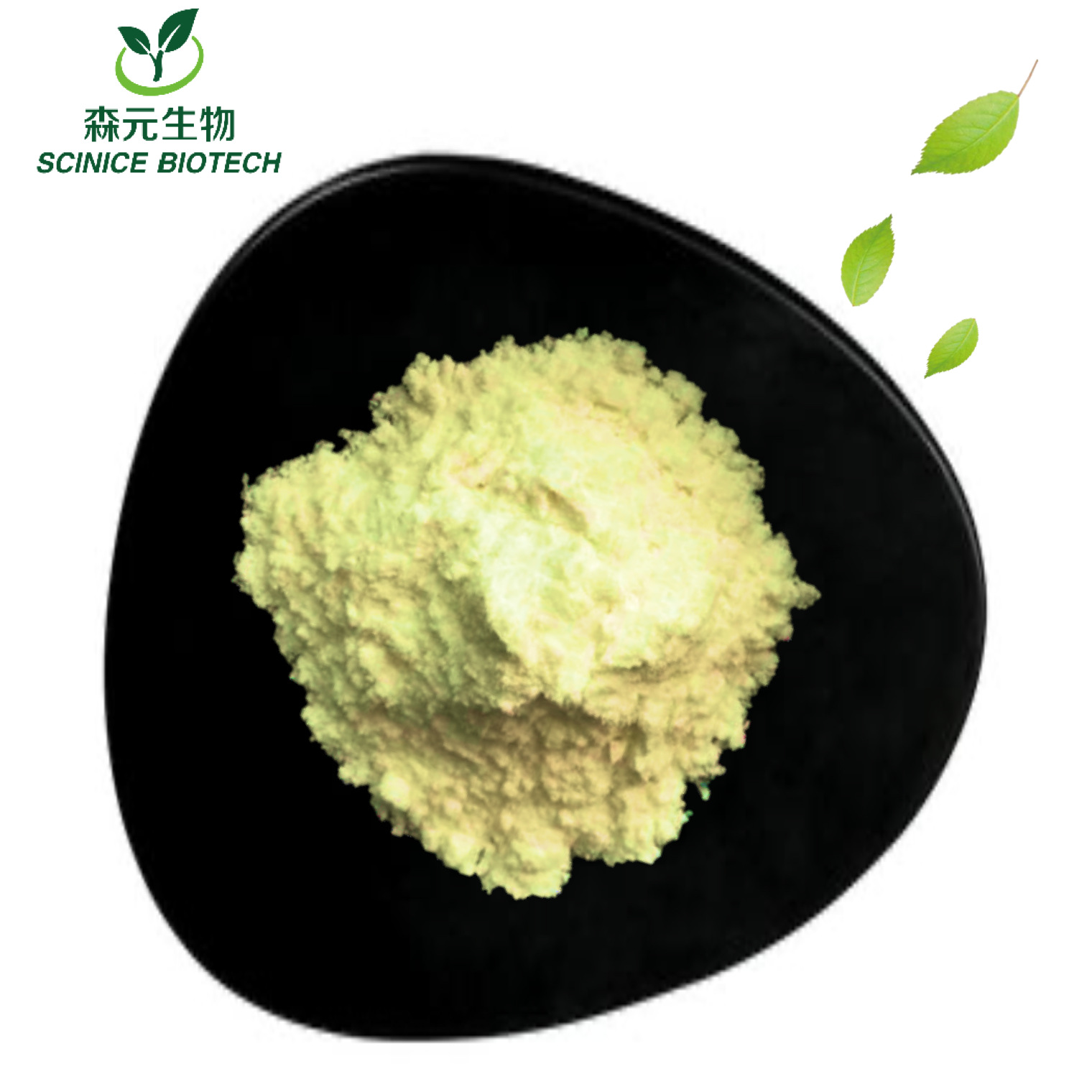 批发锁阳提取物 锁阳生物碱98% 青海锁阳萃取粉 锁阳皂甙 100克装