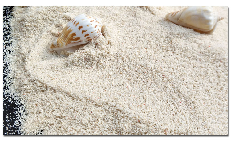 菲律宾沙贝壳沙过滤沙三湖缸造景底砂海缸底砂白沙钙质砂化妆沙子