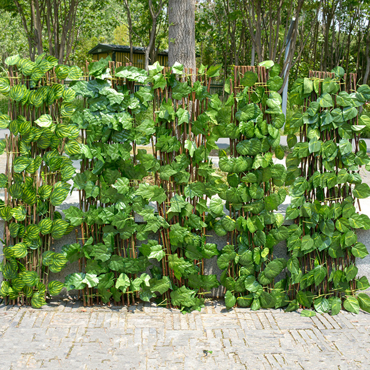 植物围栏品种图片