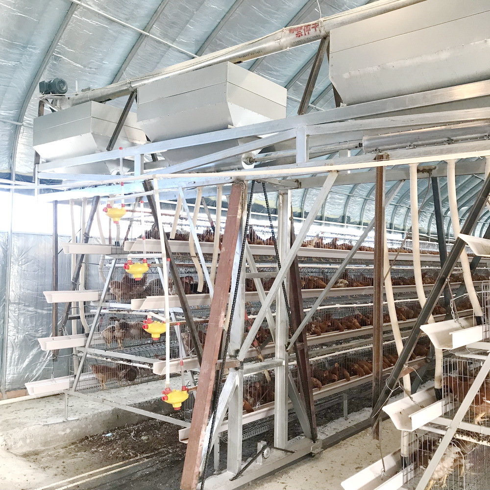 安徽厂家自动养鸡场喂料机 上料机 料仓料塔喂料车 轨道龙门给料