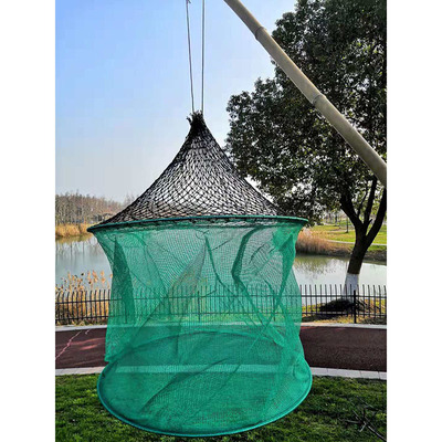 养鱼吊笼垂钓鱼网兜折叠鱼护螃蟹养笼有结网 七绞加厚 65