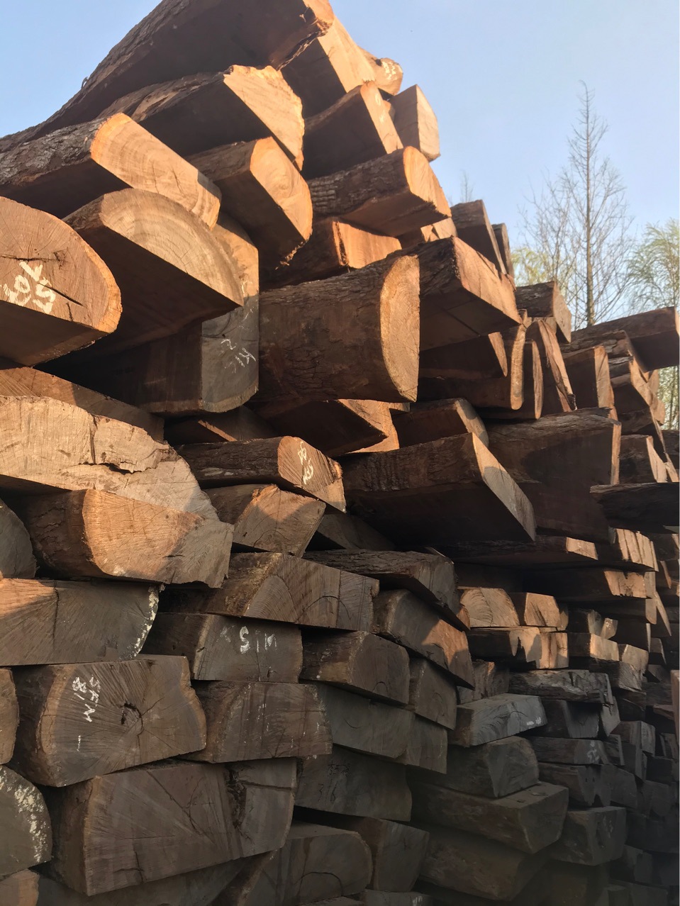 [皮灰木]原木板材 黑檀木 皮灰 黑檀木沉贵宝木乌木工艺品雕刻材