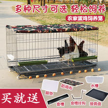 养小鸡笼子家用户外大号养殖场用田鸡笼自动清粪滚蛋狗笼兔笼