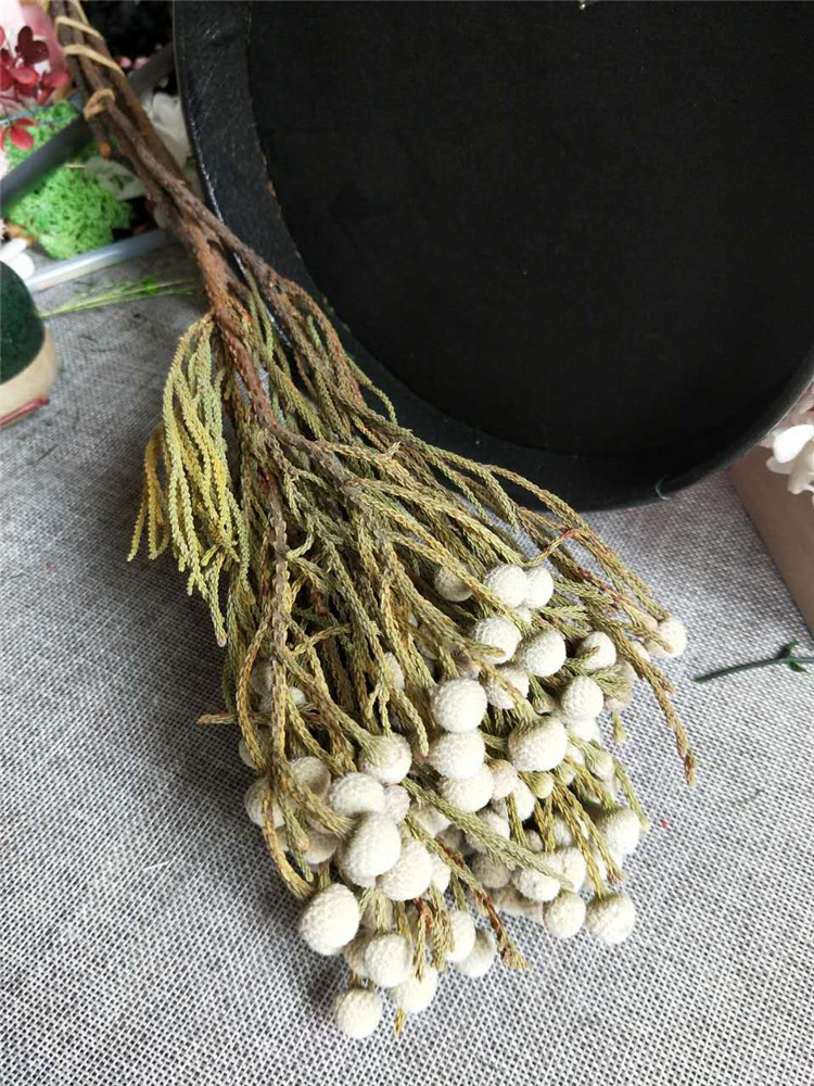 5支装大束云南干花花束居装饰拍摄道具微景观永生花灰色小银果