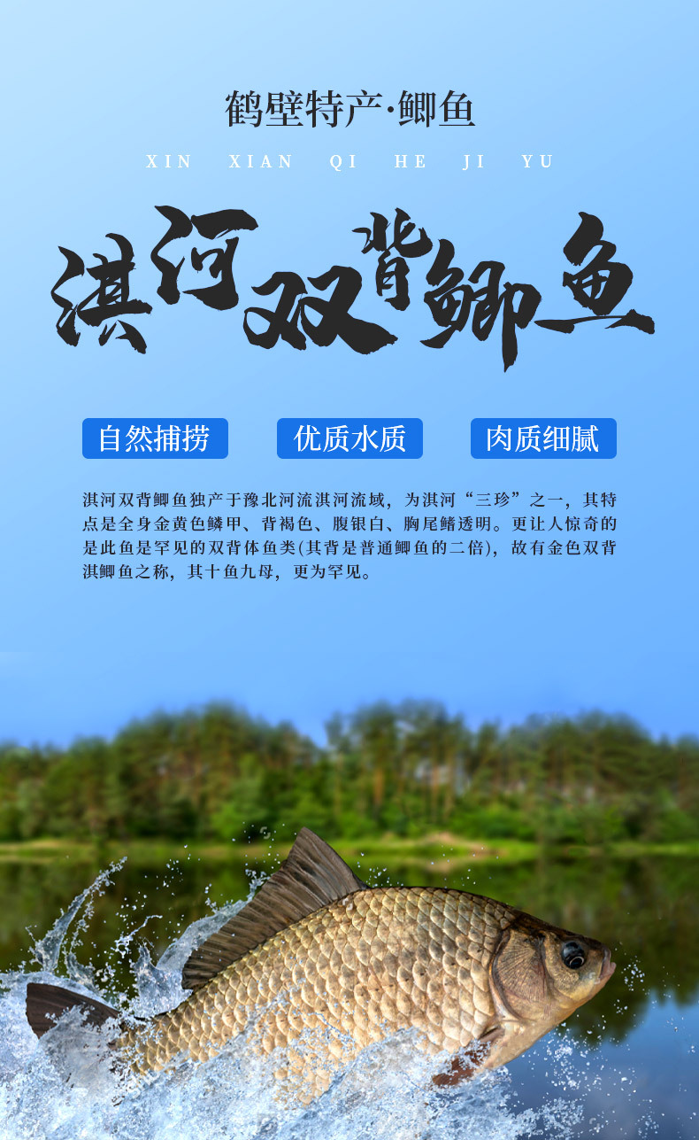 一件代发批发【河南特产】淇县鲫鱼淇河三珍礼盒鲫鱼下酒菜