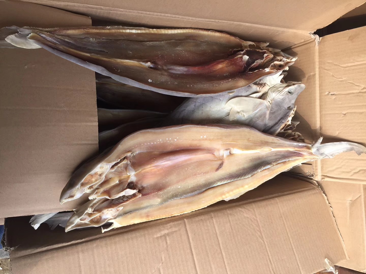鲨鱼肉腌制原汁鲨鱼肉500g袋鲨鱼干