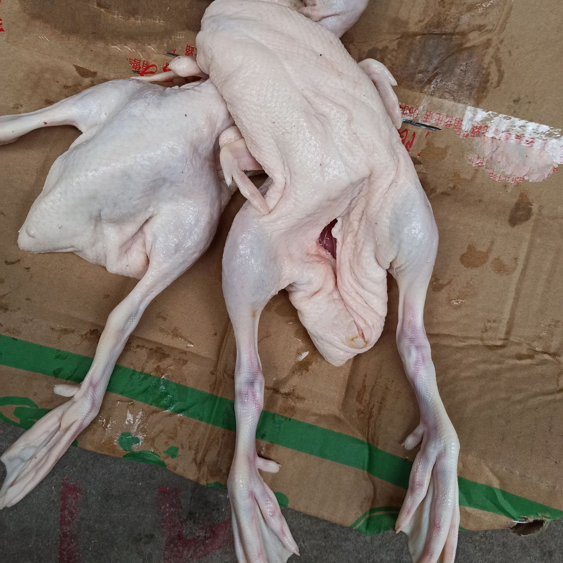 鸭肉 光鸭 bb鸭 乳鸭 鸭仔 烤鸭烧鸭脆皮鸭酱板鸭卤水鸭原材料