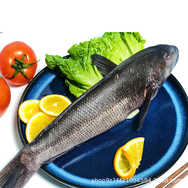 大量批发新西兰深海野生蓝鳕鱼高端酒店食材冷冻食品笋壳鱼