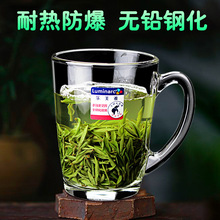 玻璃茶杯带把家用玻璃杯耐高温水杯欧式加厚茶楼泡茶喝水杯子套装