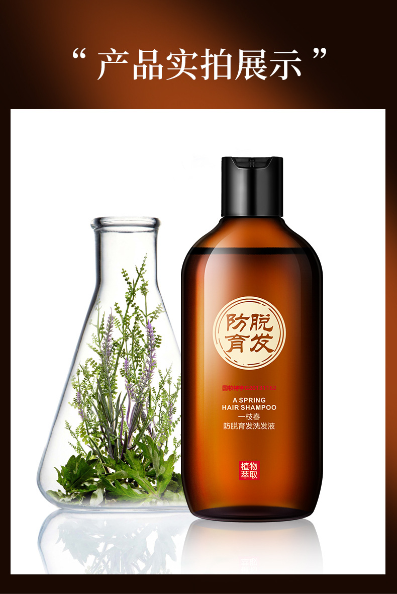 一枝春防脱育发洗发液生姜家庭男女士家庭日用清爽育发护法洗发水