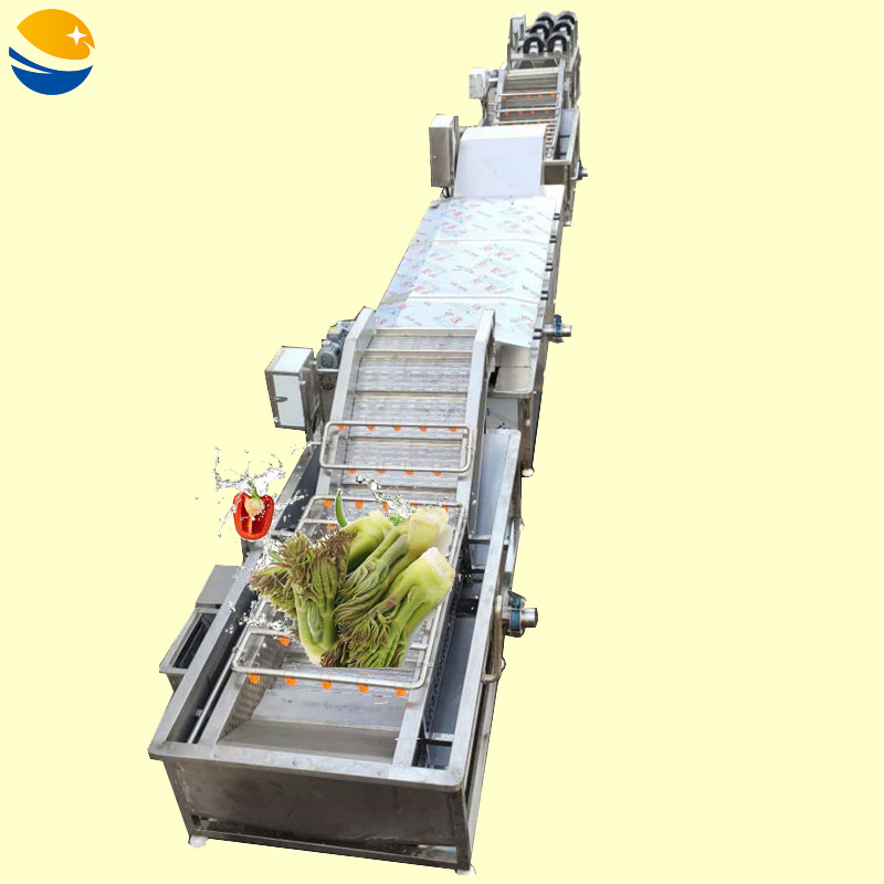 东北刺老芽蒸煮漂烫杀青机 全自动蕨菜清洗漂烫机 山野菜加工设备