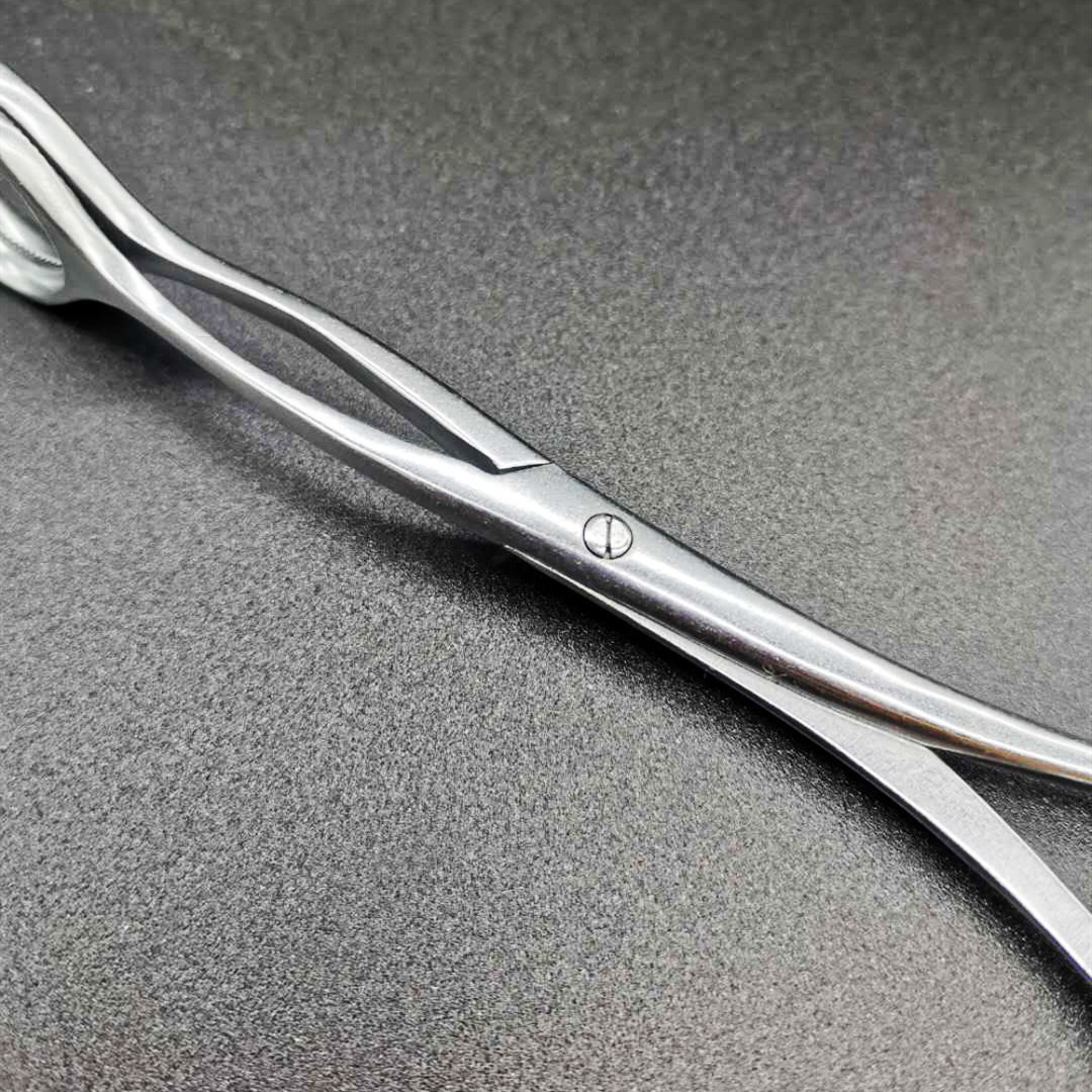 不锈钢医用舌钳拉舌钳口腔科检舌钳牙科钳子17cm口腔科器械医院用