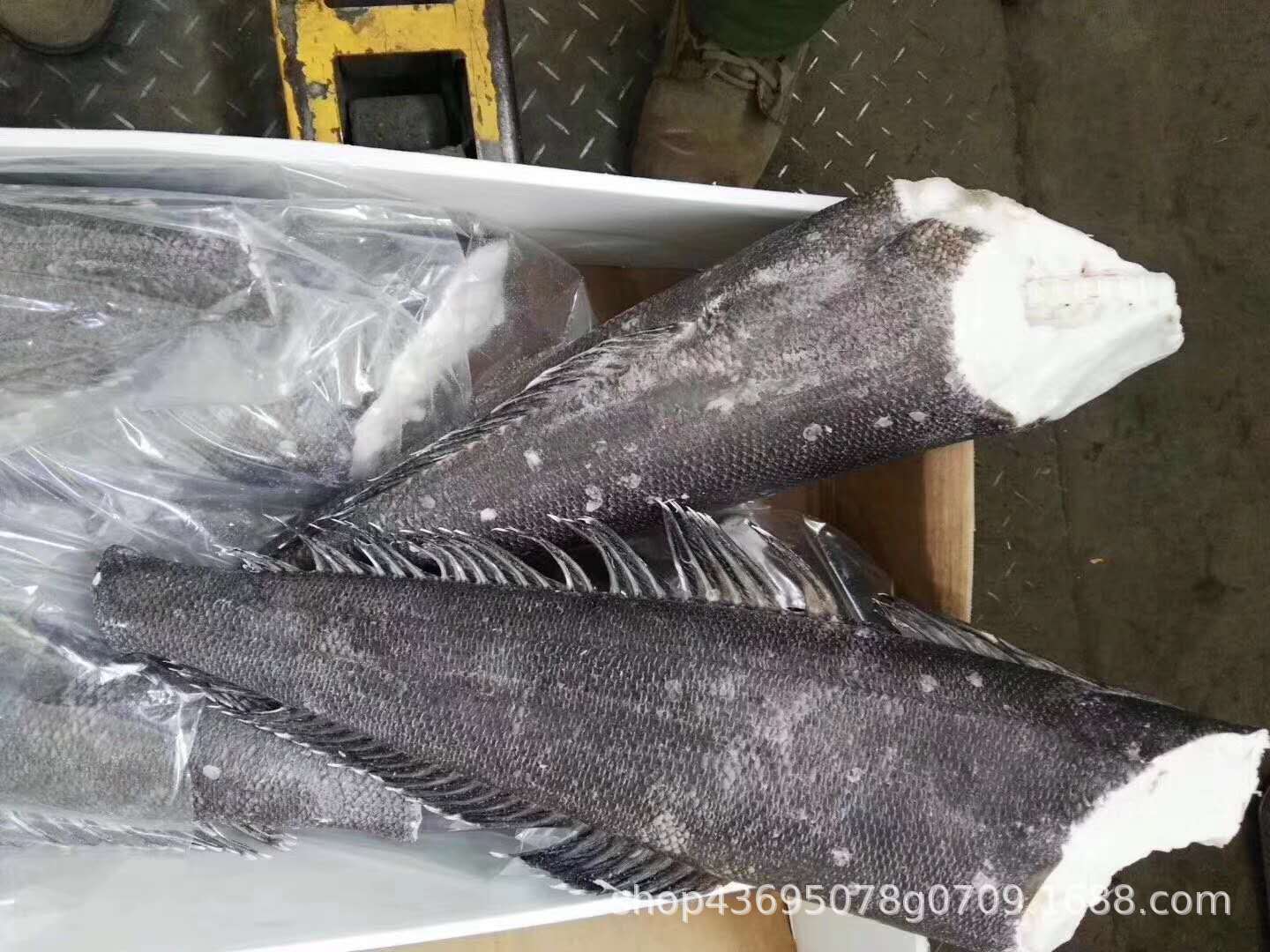 南极深海野生进口法国银鳕鱼 整条银鳕鱼 可代切6-8kg/条拍前联系