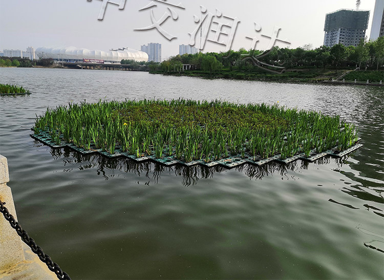种植浮床 浮岛水生植物 水生植物浮床 水上植物浮盆 人工生态浮岛