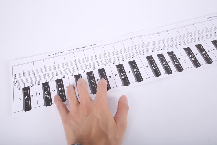 传美批发仿真88键钢琴键盘练习纸 纸质1比1手卷钢琴五线谱对照图