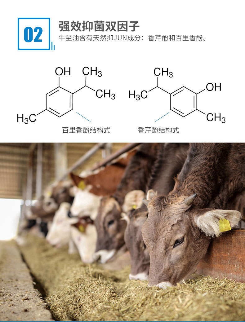 rhf香料 牛至油 植物提取 高含量饲料精油添加剂 现货牛至精油
