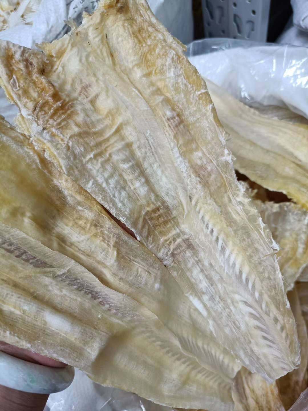 一德路现货批发鱼唇胶 酒店供应鱼唇干货 精选鱼唇10-12头500g