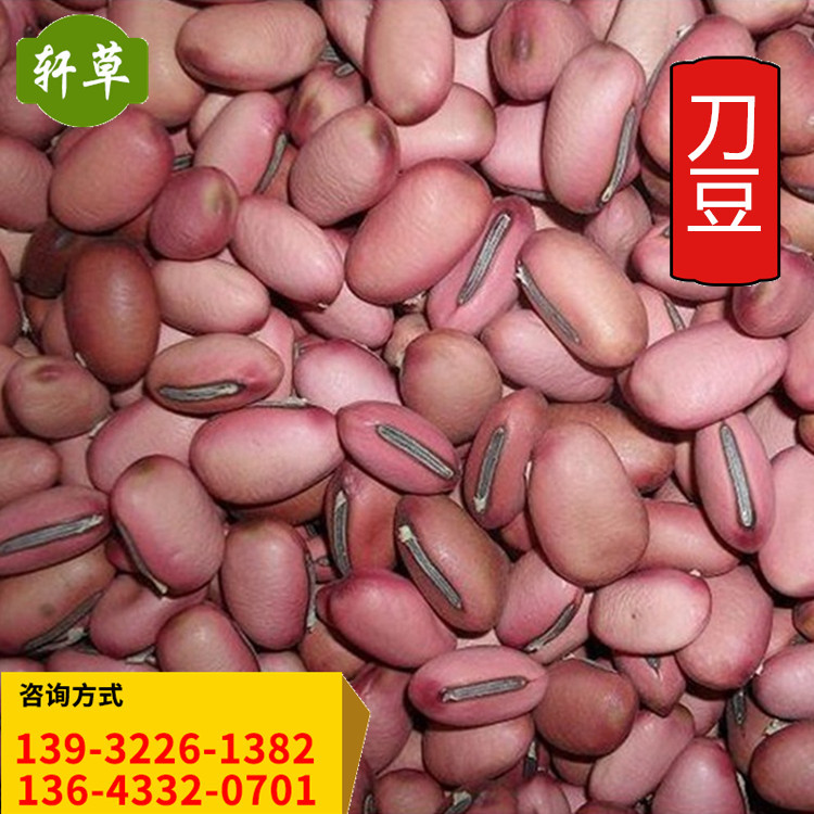 安国轩草供应中药材 红刀豆 别名:大刀豆,刀豆角, 刀豆子