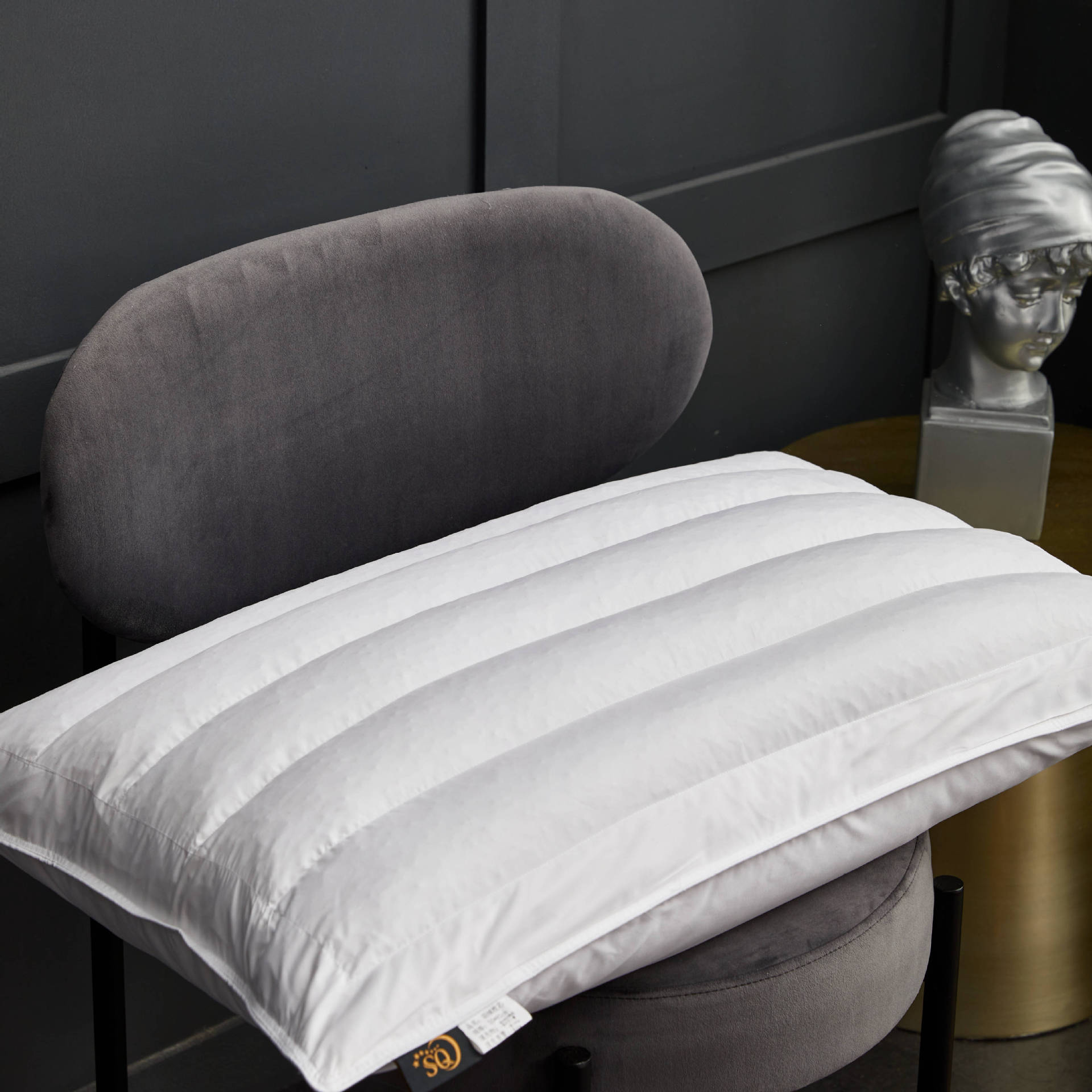 颂琪星级酒店荞麦枕头 深度睡眠荞麦枕芯 防羽布护颈枕一只装