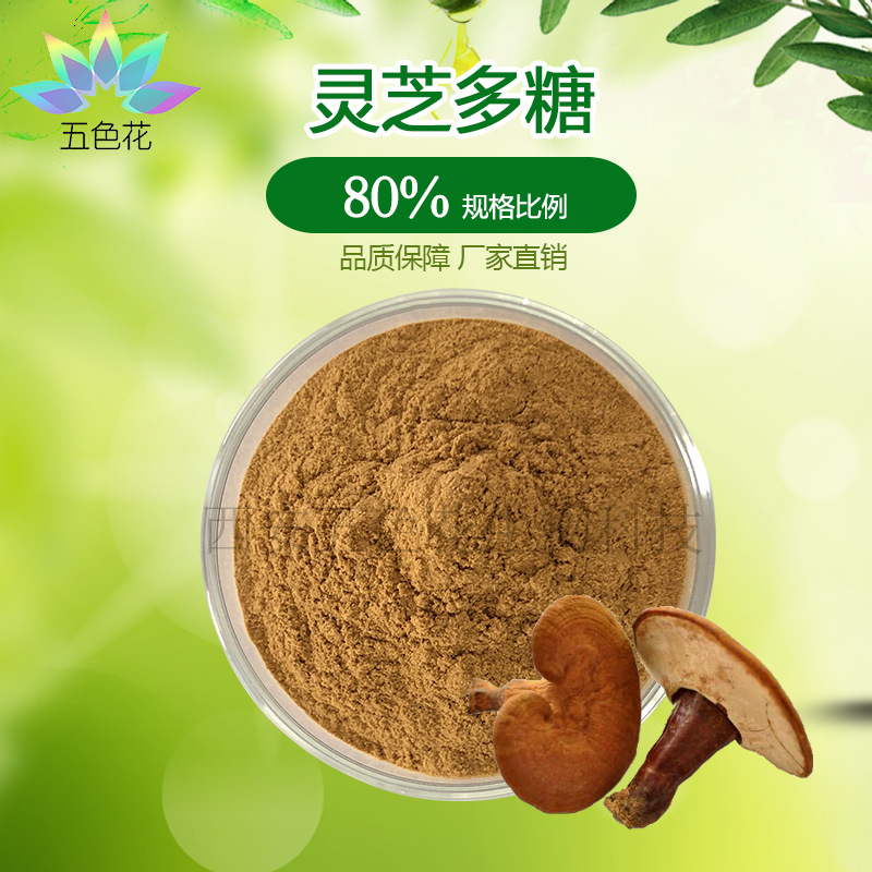 灵芝多糖50% 水溶性 灵芝提取物 灵芝菌丝体多糖 多规格 厂家直销