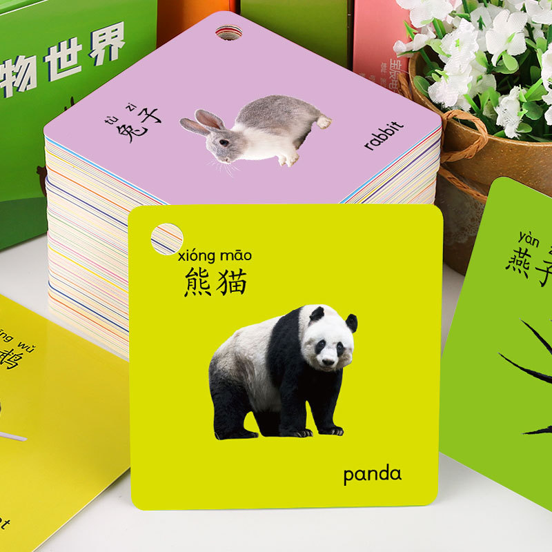儿童动物世界卡片小学生早教启蒙益智加厚打孔双面覆膜彩色