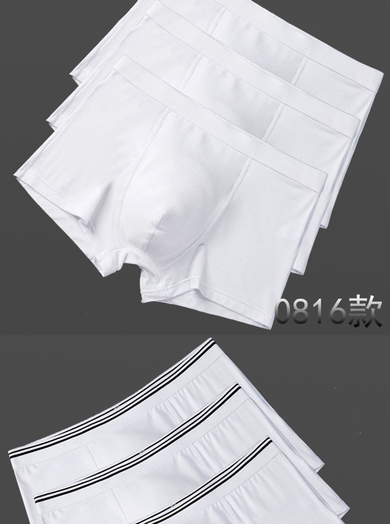 莫代尔男士白色内裤纯棉平角裤中腰全棉透气四角裤头浅色 婚纱照