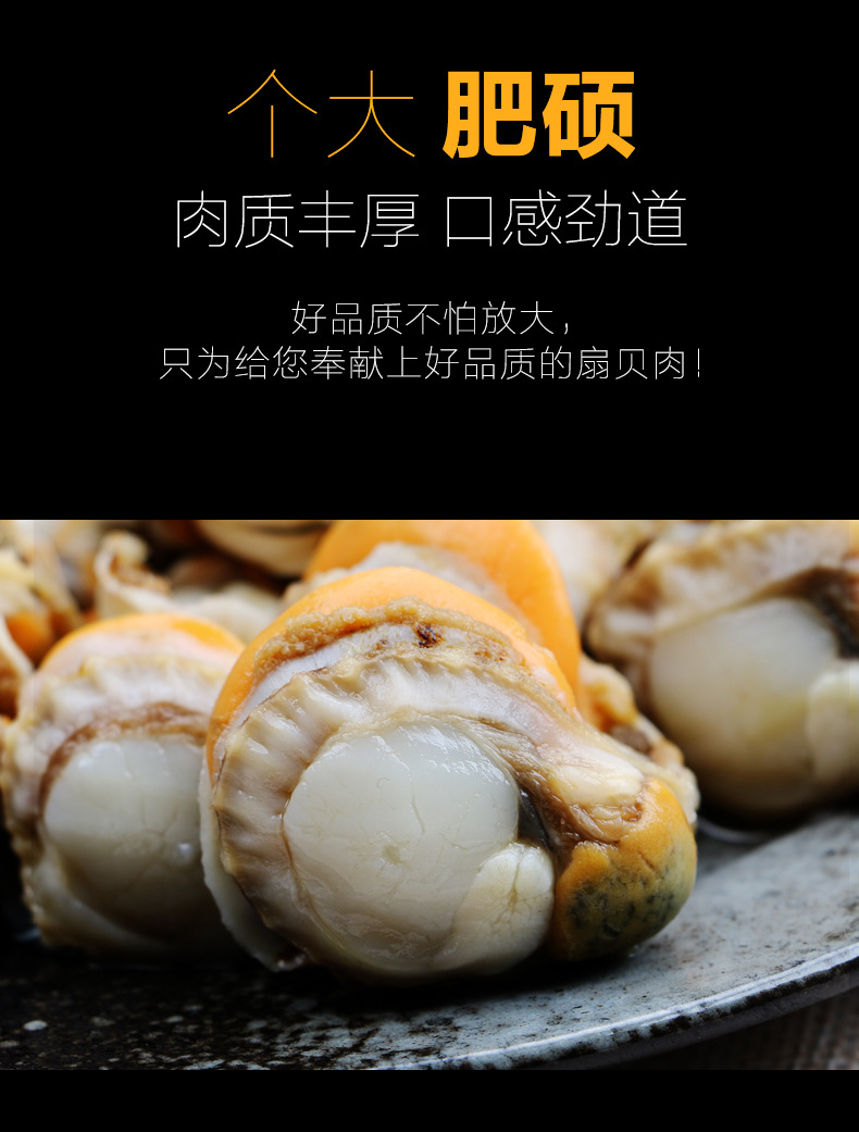 扇贝肉新鲜扇贝肉冷冻贝类大扇贝 水产扇贝粉丝