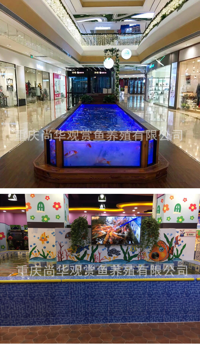 吃奶鱼 奶瓶喂鱼 奶嘴鱼免费加盟 全国发货 喂奶鱼包活 不吃包退