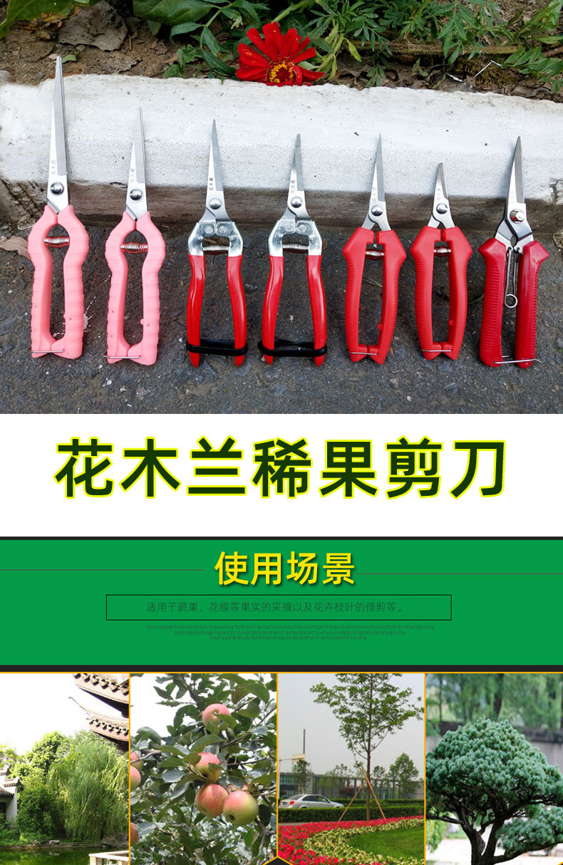 花木兰稀果剪采果剪刀直头翘头剪摘果剪不锈钢葡萄剪