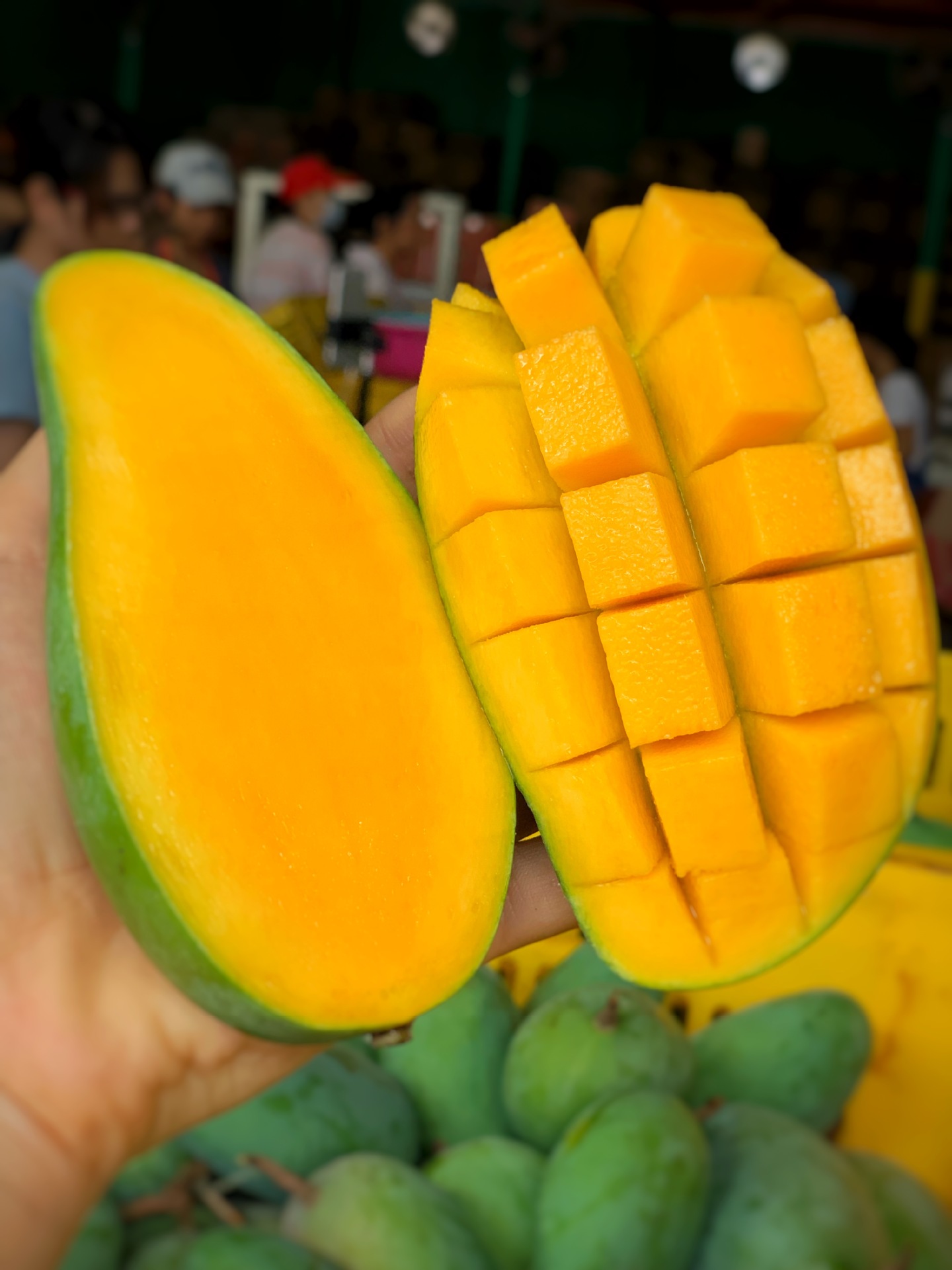 产地货源广西金煌芒9斤装青皮金煌芒果应季新鲜水果批发一件代发