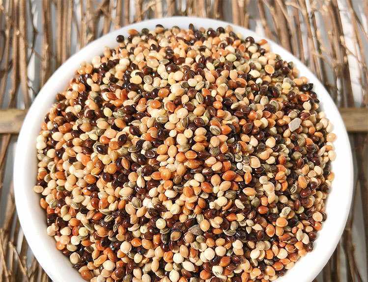 五色黍子鸟粮中小型鹦鹉鸟食饲料虎皮牡丹玄凤文鸟粮玉鸟一件五斤