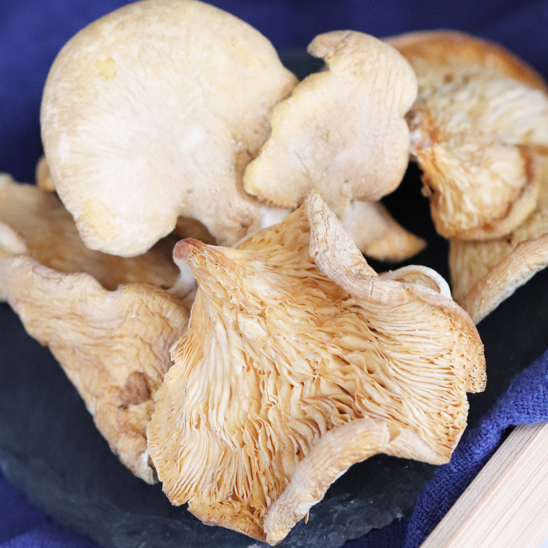 东北特产元蘑 吉林食用菌元蘑 产地支持一件代发