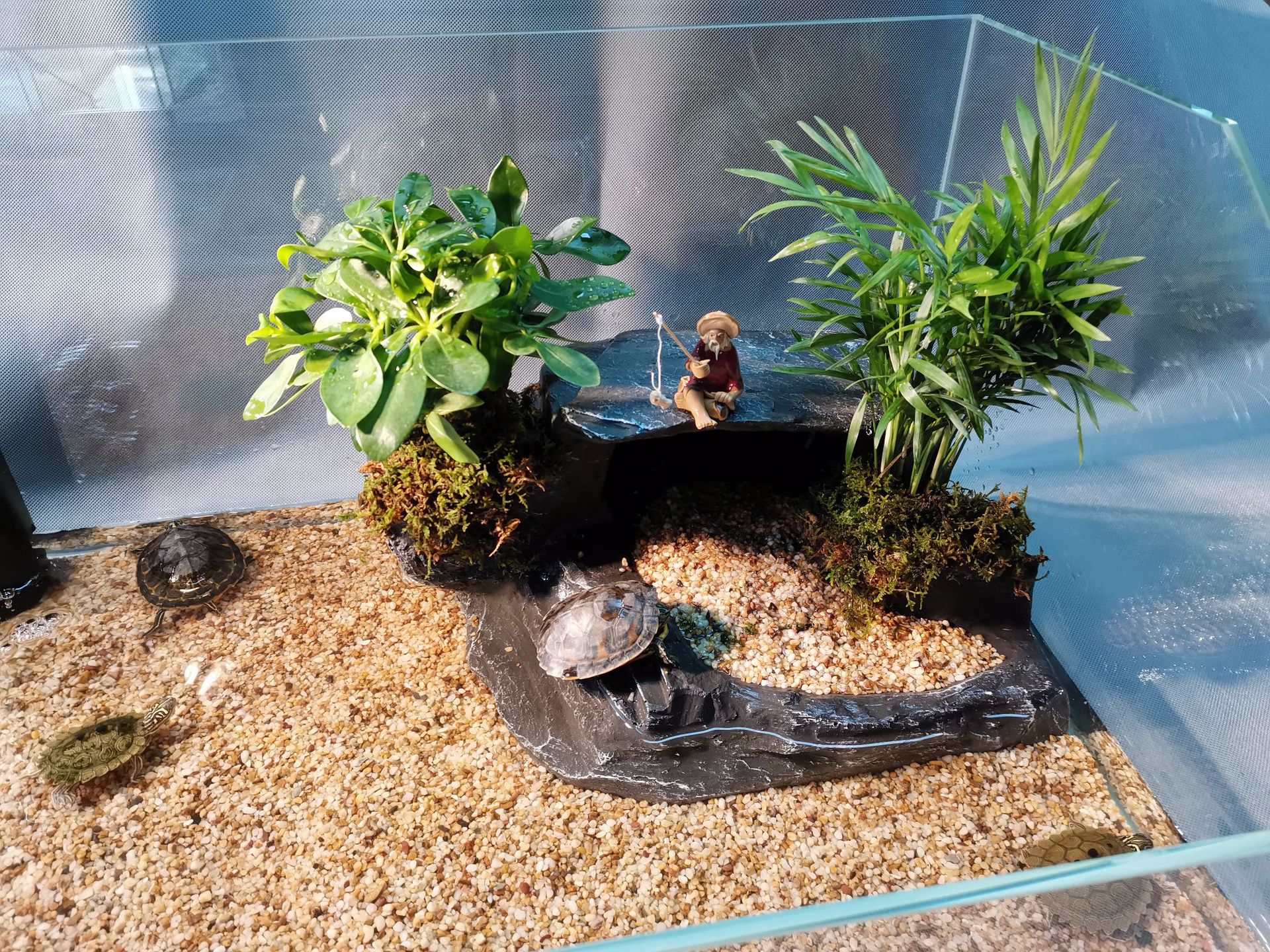 水龟缸造景装饰假山晒台洞穴可种植物生态水龟晒背岛娱乐台爬晒台