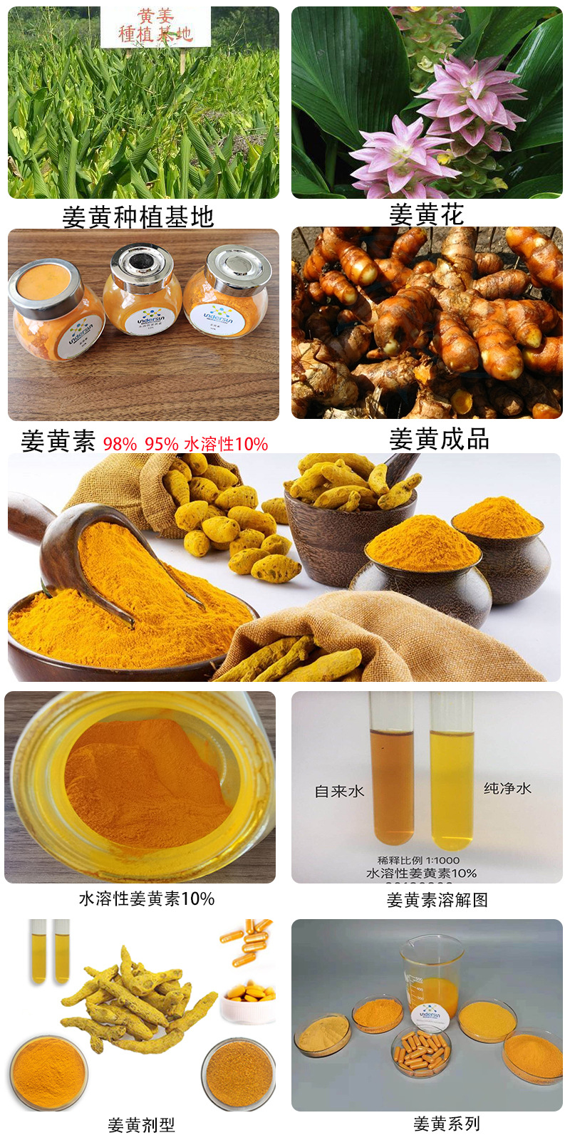 姜黄素10% 水溶性姜黄提取物 食品级 姜黄色素 工厂现货姜黄素粉