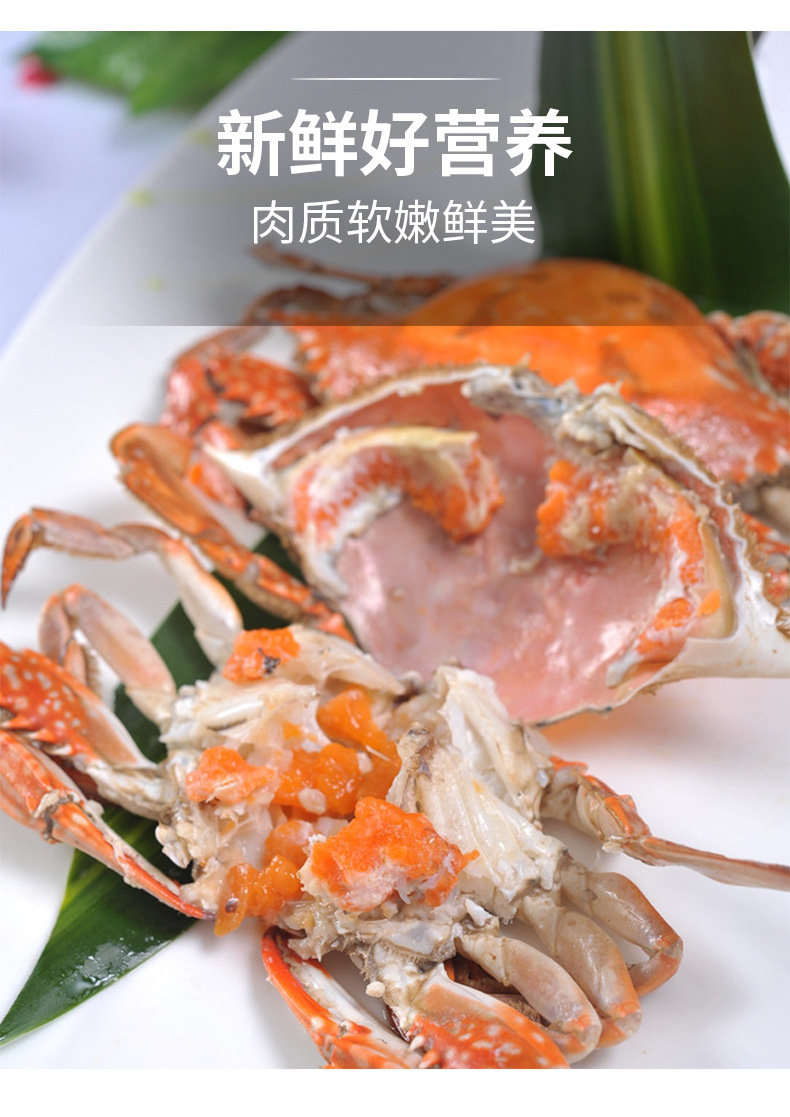 蟹腿肉 厂家直销 速冻大闸蟹蟹腿肉 产地螃蟹蟹腿肉 冷冻蟹腿肉