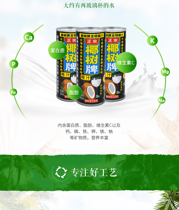 椰树牌椰子汁 椰子水果味饮料 椰树椰汁245ml×24罐装整箱