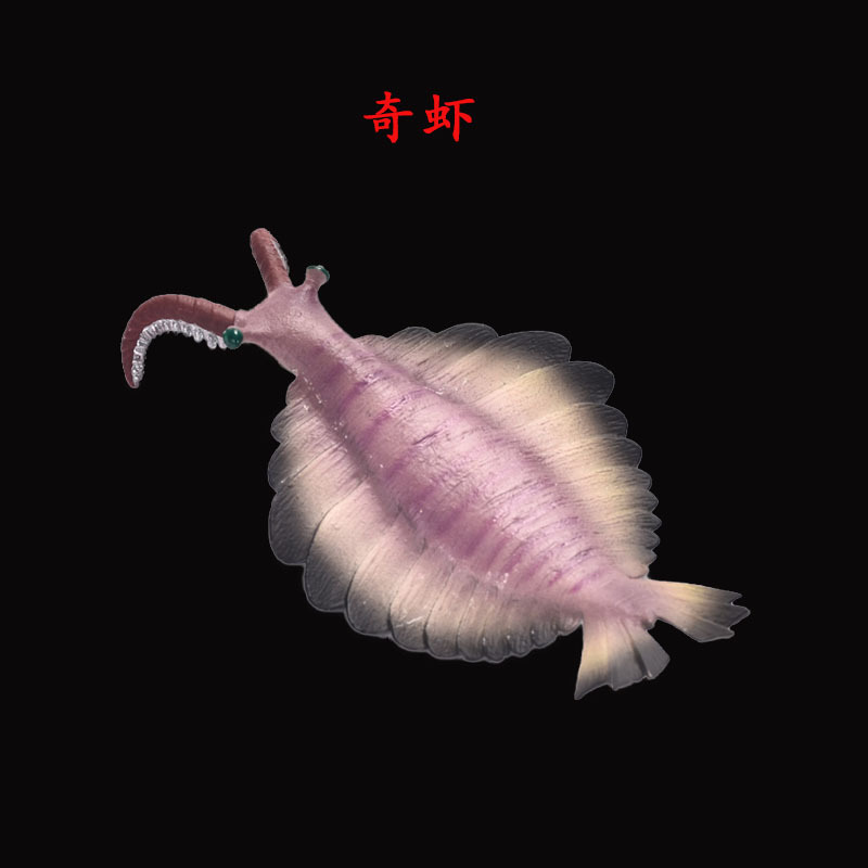 远古海洋动物模型仿真史前生物儿童玩具奇虾 欧巴宾海蝎 儿童礼物