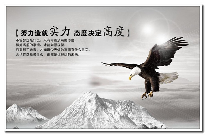 皮具包装:什么是实力商家,开通实商的好处