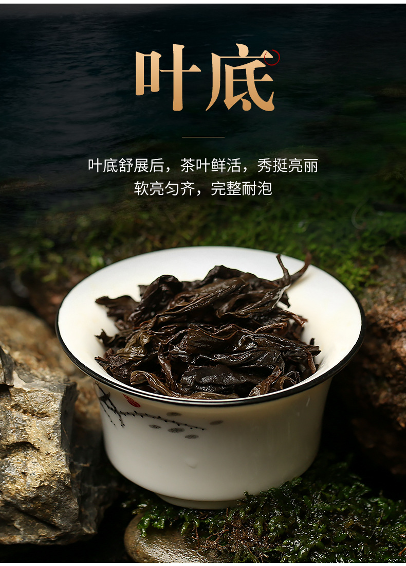 九龙窠肉桂茶叶散装武夷山岩茶厂家批发正岩肉桂大红袍炭焙乌龙茶