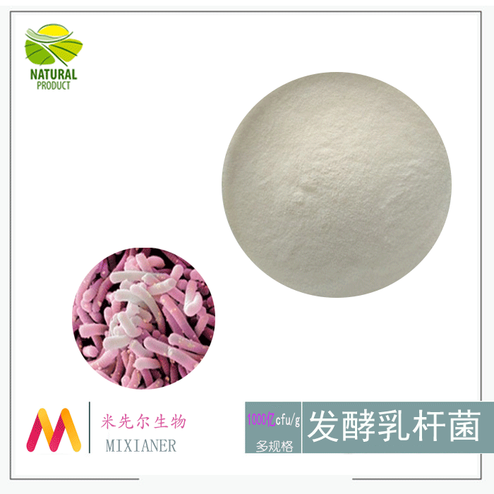 发酵乳杆菌1000亿cfu/g 冻干乳酸菌粉 益生菌粉 厂家现货 100g/袋