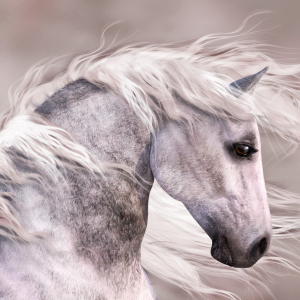 厂家直销现代简约抽象创意白色马头现代动感动物系列定制挂画