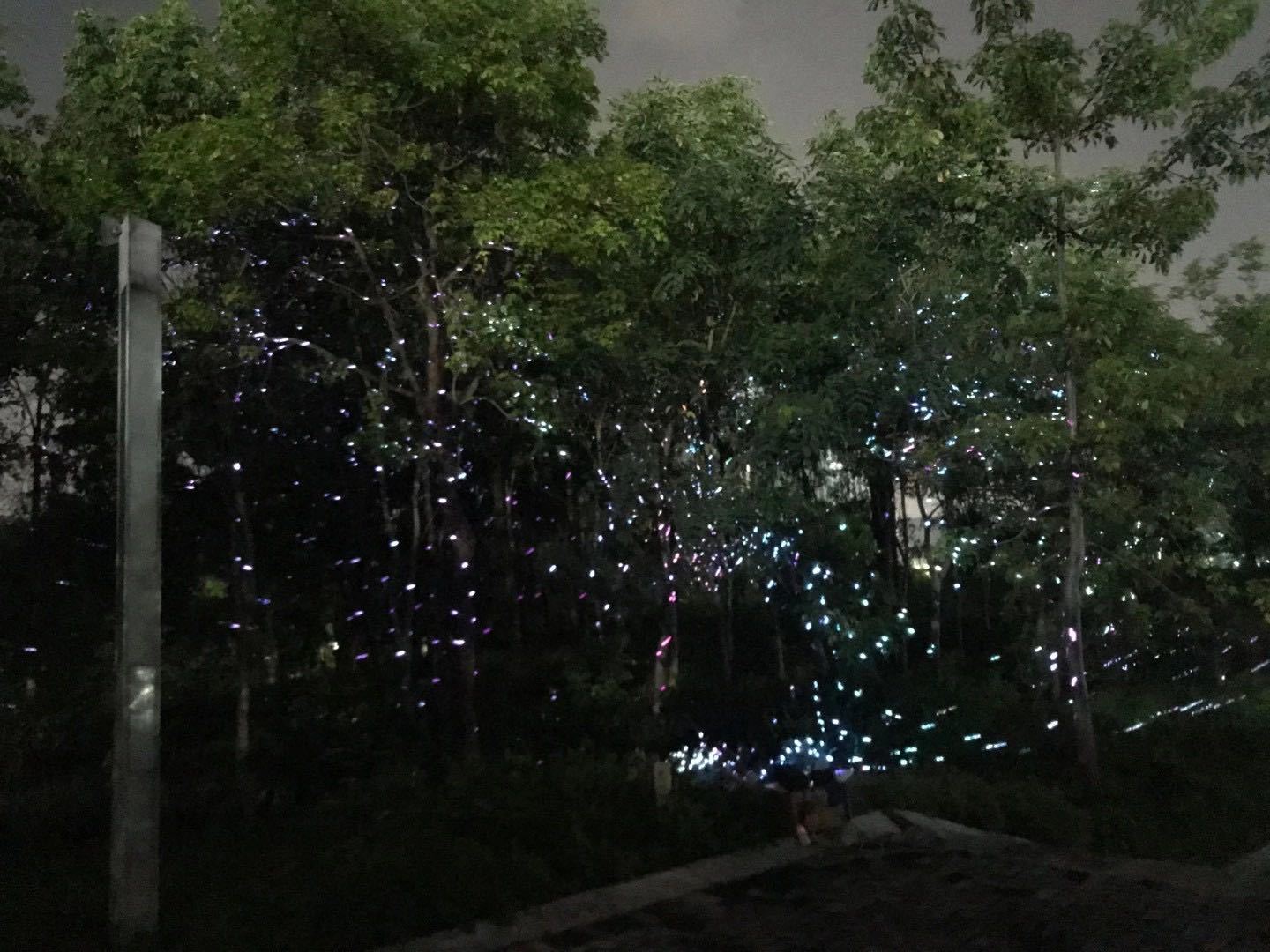 萤火虫投影灯图案灯背景灯装饰灯ip65户外防水激光文旅工程专用