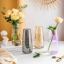北欧创意简约ins 风玻璃花瓶水养透明网红客厅插花瓶干花装饰摆件