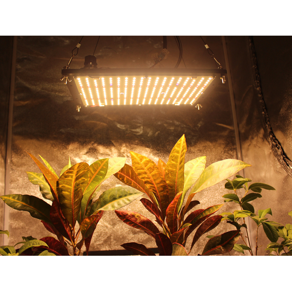 125w lm301h   660nm uv ir led 量子板植物灯 配明纬hlg电源