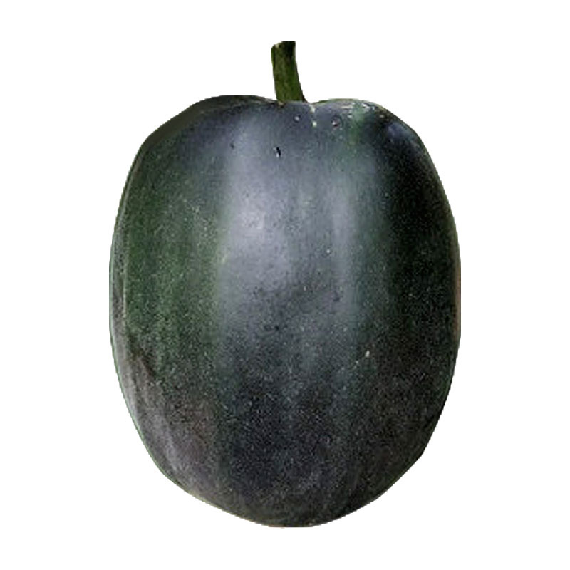 特大黑皮面瓜种子甜瓜香瓜种子抗病酥瓜黑玫甜春秋季蔬菜瓜果种籽